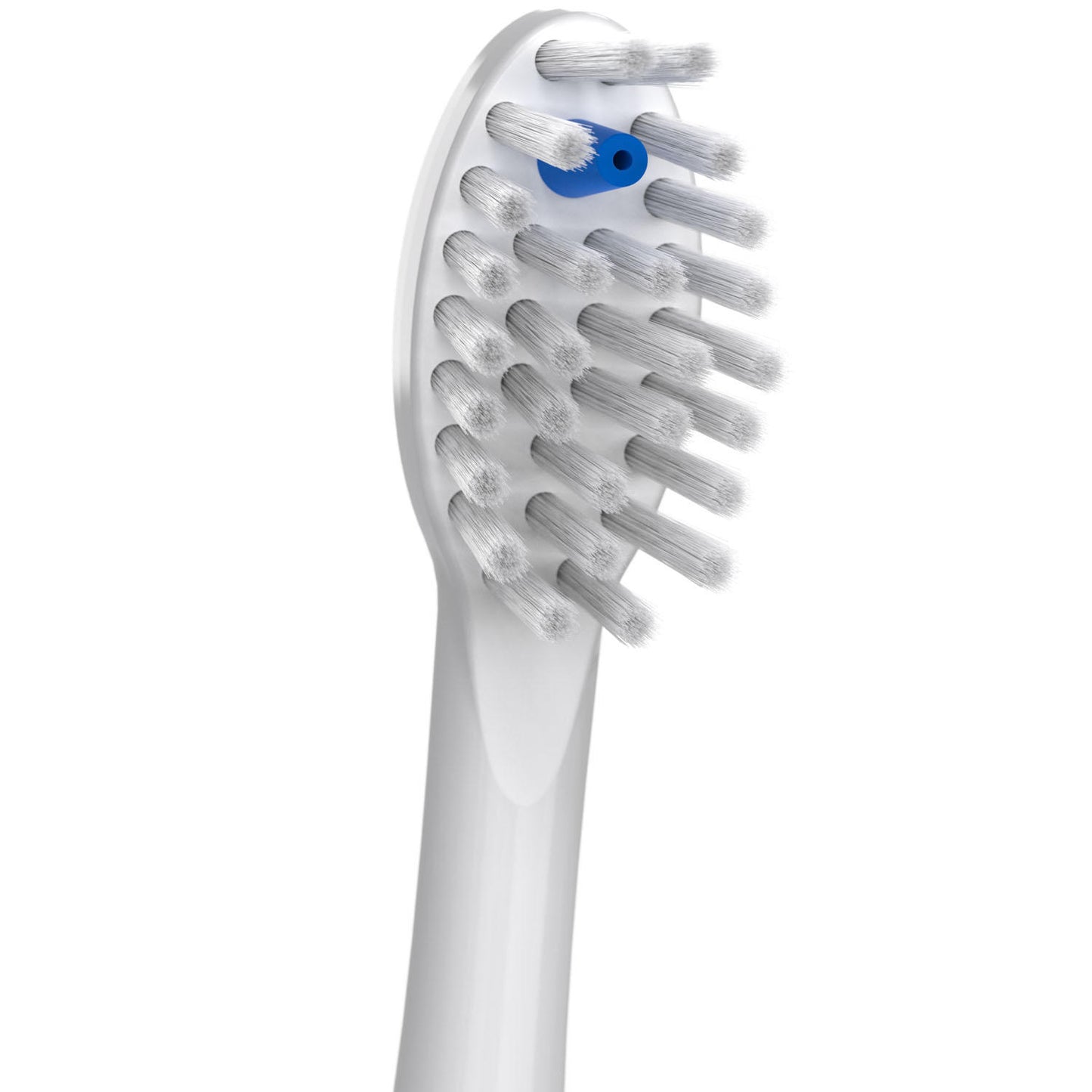 Waterpik Sonic-Fusion Full-Size Replacement Flossing Toothbrush Heads,White (6 pk.)